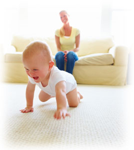 Carpet Cleaning Milpitas, CA