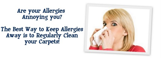 Carpet Cleaning Milpitas, CA