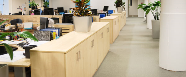 Commercial Carpet Cleaning Milpitas, CA